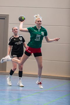 Bild 275 - F HSG Kre/Mue - HFF Munkbrarup : Ergebnis: 49:20